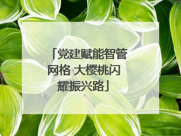 党建赋能智管网格 大樱桃闪耀振兴路