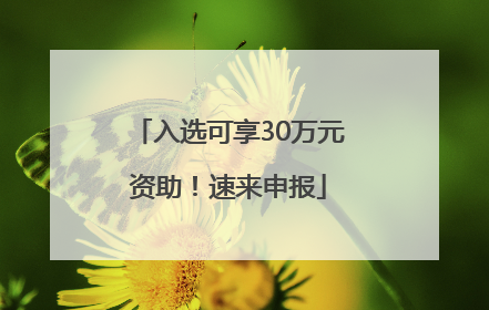 入选可享30万元资助！速来申报