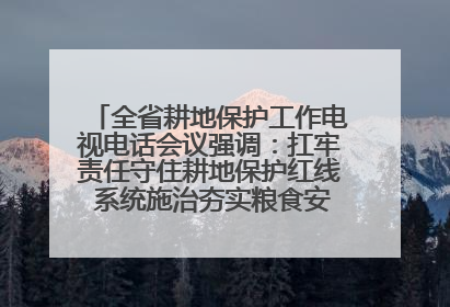 全省耕地保护工作电视电话会议强调：扛牢责任守住耕地保护红线 系统施治夯实粮食安全根基 王宁作出批示 王予波出席并讲话