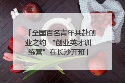 全国百名青年共赴创业之约 “创业英才训练营”在长沙开班