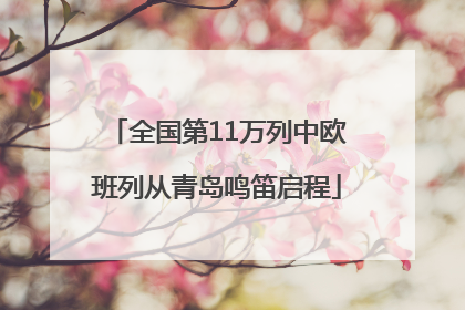 全国第11万列中欧班列从青岛鸣笛启程