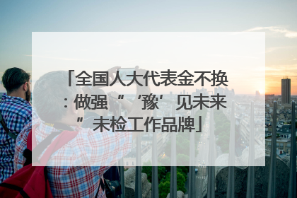 全国人大代表金不换：做强“‘豫’见未来”未检工作品牌
