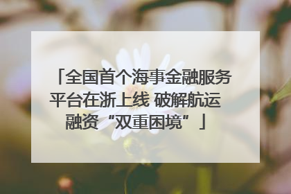 全国首个海事金融服务平台在浙上线 破解航运融资“双重困境”