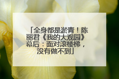 全身都是淤青！陈丽君《我的大观园》幕后：面对滚楼梯，没有做不到