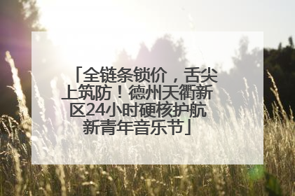 全链条锁价，舌尖上筑防！德州天衢新区24小时硬核护航新青年音乐节