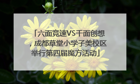 六面竞速VS千面创想，成都草堂小学子美校区举行第四届魔方活动