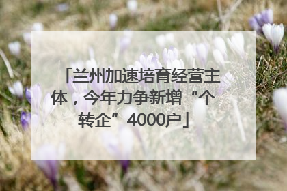 兰州加速培育经营主体，今年力争新增“个转企”4000户