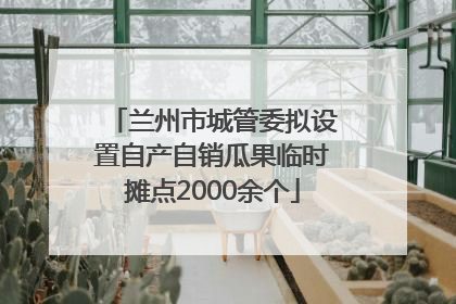 兰州市城管委拟设置自产自销瓜果临时摊点2000余个