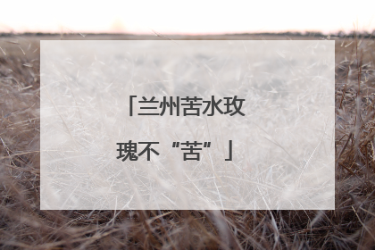 兰州苦水玫瑰不“苦”