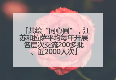 共绘“同心圆”，江苏和拉萨平均每年开展各层次交流200多批、近2000人次