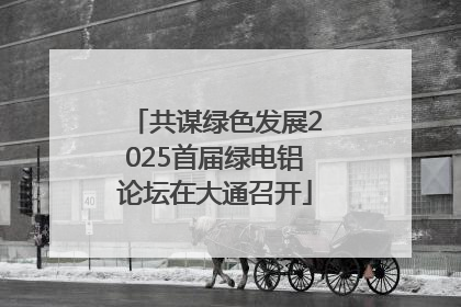 共谋绿色发展2025首届绿电铝论坛在大通召开