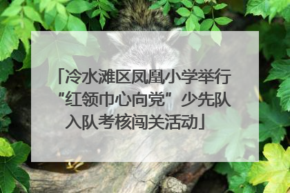 冷水滩区凤凰小学举行“红领巾心向党”少先队入队考核闯关活动