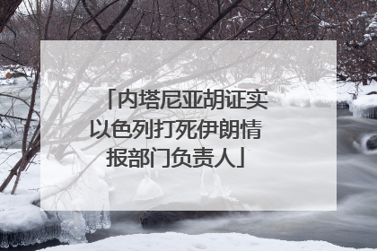内塔尼亚胡证实以色列打死伊朗情报部门负责人