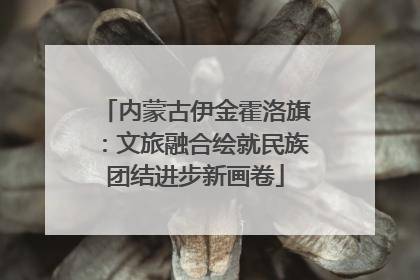 内蒙古伊金霍洛旗：文旅融合绘就民族团结进步新画卷