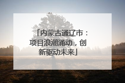 内蒙古通辽市：项目浪潮涌动，创新驱动未来