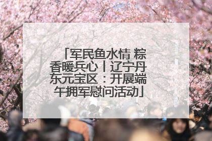 军民鱼水情 粽香暖兵心丨辽宁丹东元宝区：开展端午拥军慰问活动
