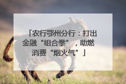 农行鄂州分行：打出金融“组合拳”，助燃消费“烟火气”