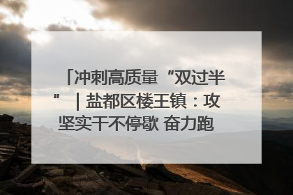 冲刺高质量“双过半”｜盐都区楼王镇：攻坚实干不停歇 奋力跑赢“上半场”