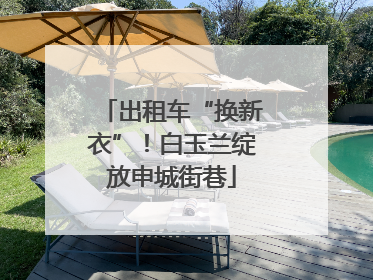 出租车“换新衣”！白玉兰绽放申城街巷