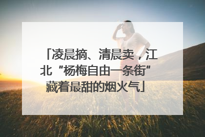凌晨摘、清晨卖，江北“杨梅自由一条街”藏着最甜的烟火气