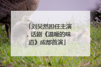 刘昊然担任主演，话剧《温暖的味道》成都首演