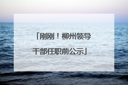 刚刚！柳州领导干部任职前公示