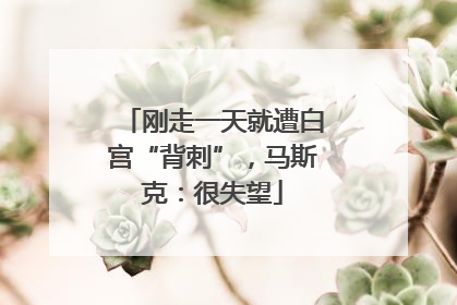 刚走一天就遭白宫“背刺”，马斯克：很失望