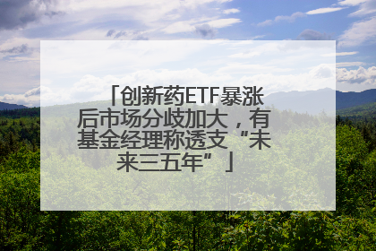 创新药ETF暴涨后市场分歧加大，有基金经理称透支“未来三五年”