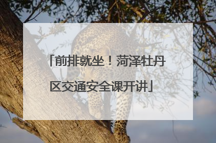前排就坐！菏泽牡丹区交通安全课开讲
