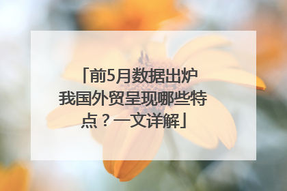 前5月数据出炉 我国外贸呈现哪些特点？一文详解