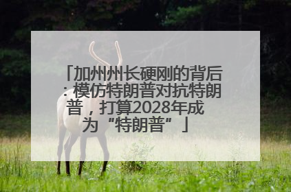 加州州长硬刚的背后：模仿特朗普对抗特朗普，打算2028年成为“特朗普”