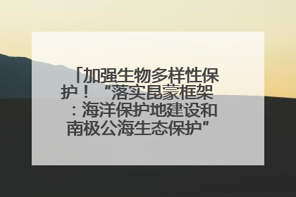 加强生物多样性保护！“落实昆蒙框架：海洋保护地建设和南极公海生态保护”主题论坛将举办