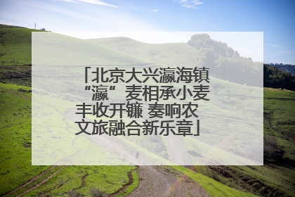北京大兴瀛海镇“瀛”麦相承小麦丰收开镰 奏响农文旅融合新乐章