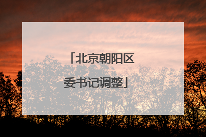 北京朝阳区委书记调整