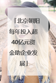 北京朝阳每年投入超40亿元资金助企业发展