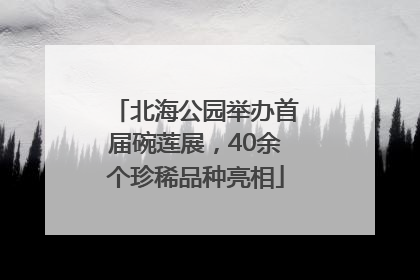 北海公园举办首届碗莲展，40余个珍稀品种亮相