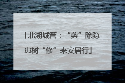 北湖城管：“剪”除隐患树“修”来安居行