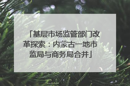 基层市场监管部门改革探索：内蒙古一地市监局与商务局合并