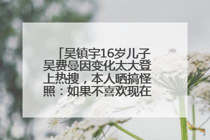 吴镇宇16岁儿子吴费曼因变化太大登上热搜，本人晒搞怪照：如果不喜欢现在的我可以离开