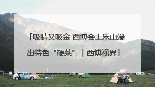 吸睛又吸金 西博会上乐山端出特色“硬菜”｜西博视界