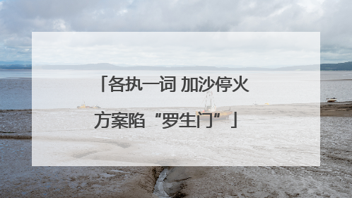 各执一词 加沙停火方案陷“罗生门”