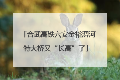 合武高铁六安金裕淠河特大桥又“长高”了