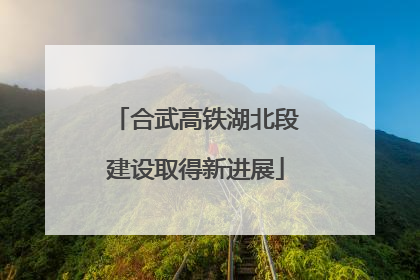 合武高铁湖北段建设取得新进展