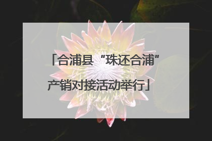 合浦县“珠还合浦”产销对接活动举行