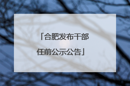 合肥发布干部任前公示公告