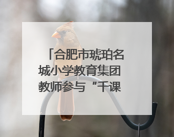 合肥市琥珀名城小学教育集团教师参与“千课万人”数学论坛活动