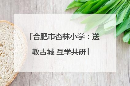 合肥市杏林小学：送教古城 互学共研