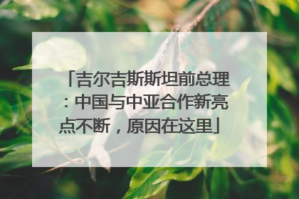 吉尔吉斯斯坦前总理：中国与中亚合作新亮点不断，原因在这里