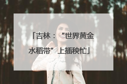 吉林：“世界黄金水稻带”上插秧忙