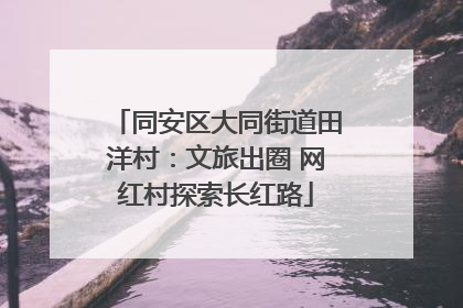 同安区大同街道田洋村：文旅出圈 网红村探索长红路